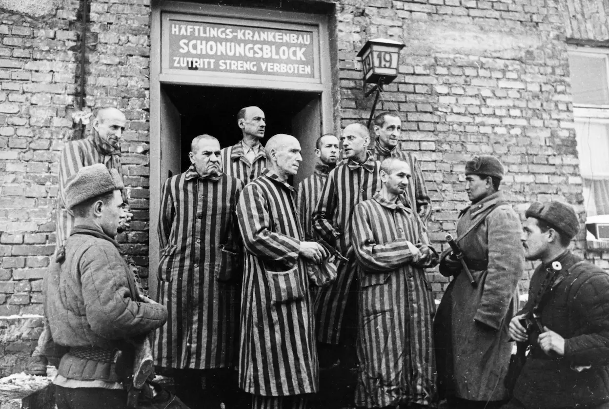 Auschwitz: A History of Horror and Liberation image