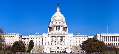 How Laws Are Made image