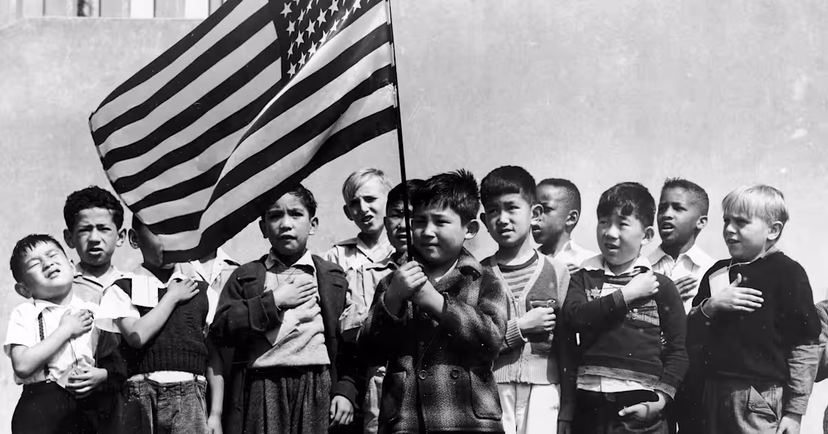 Birthright Citizenship in the United States image