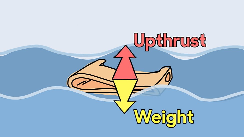 Real Science for Real Life: Buoyancy image