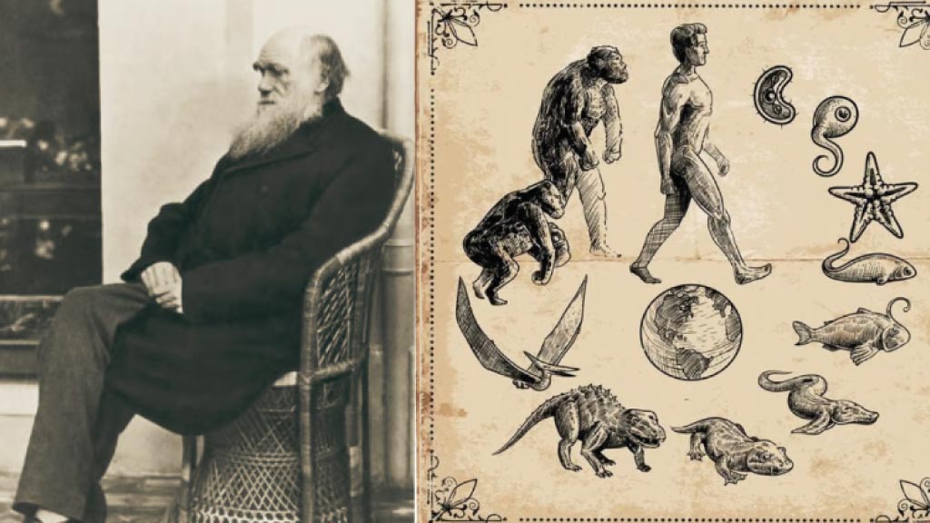 Darwin's Origin of Species, First Edition (1859) image
