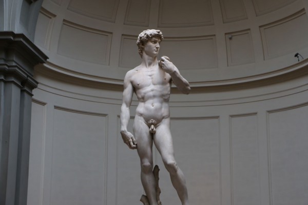 The Story of Michelangelo’s David image