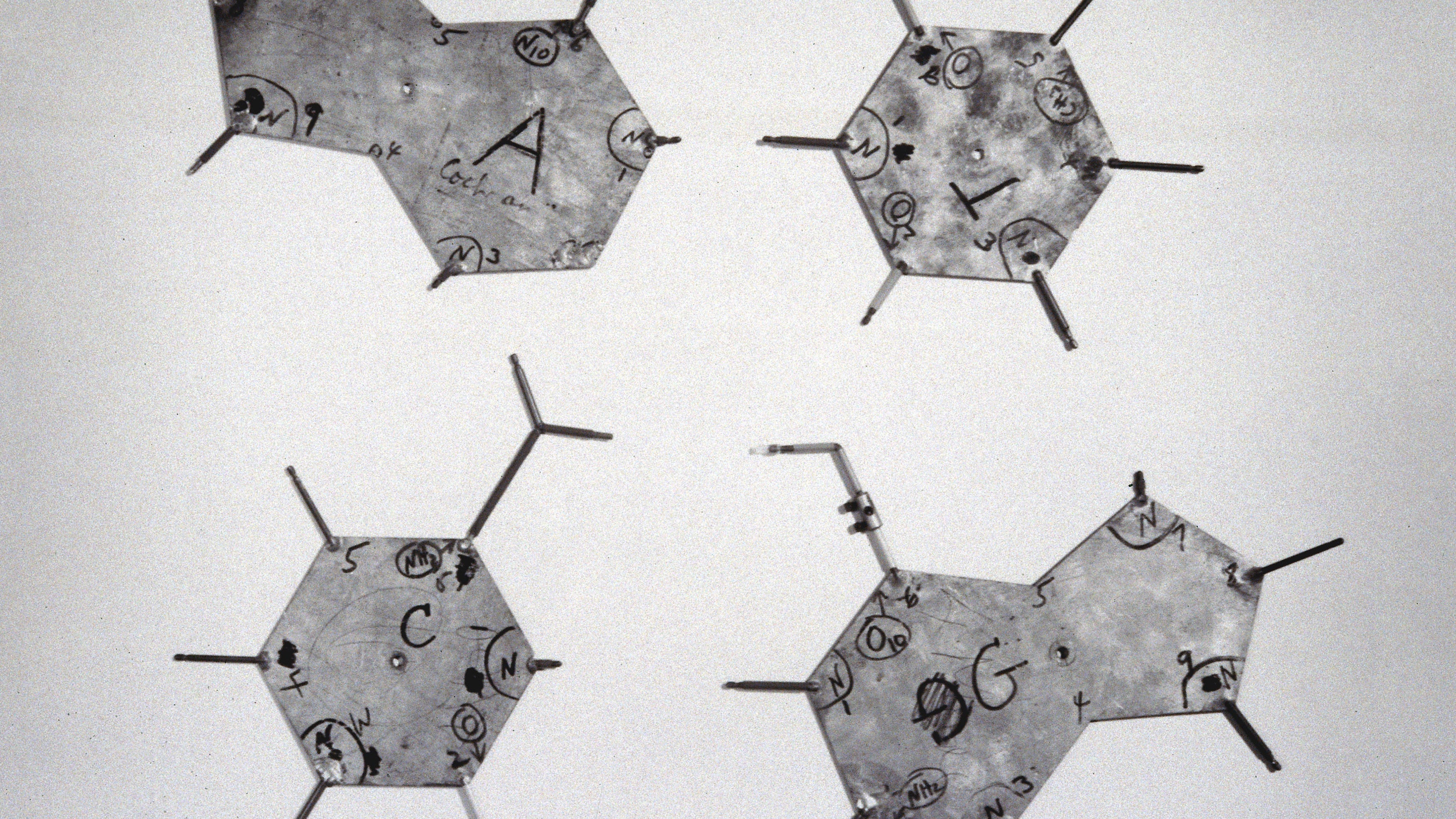 Chemical structure of DNA discovered image