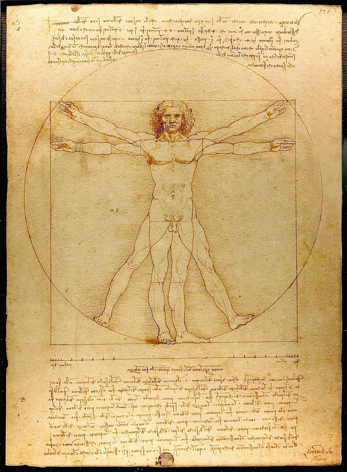 Leonardo da Vinci’s Vitruvian Man, drawn in pen and ink, illustrating ideal human proportions.