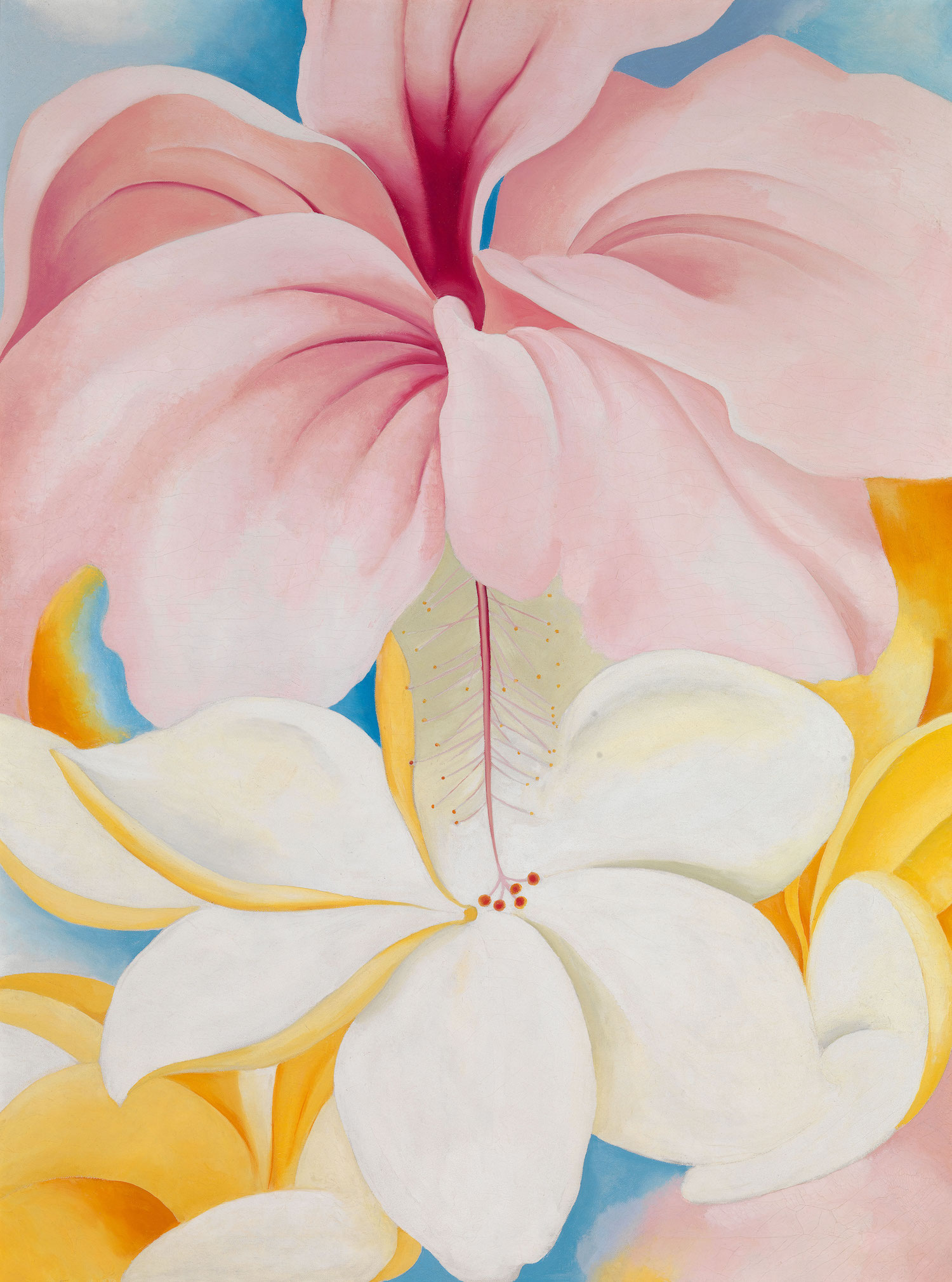 Close-up of a flower painted by Georgia O’Keeffe, with bold curves and vibrant color that feel both abstract and alive.