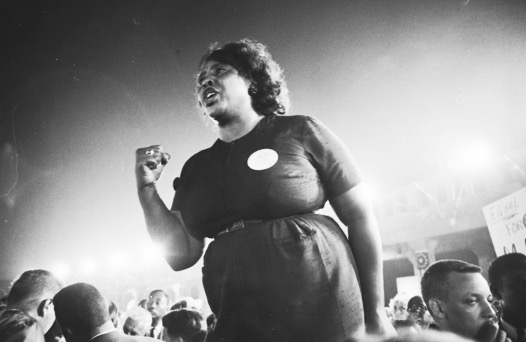 Fannie Lou Hamer image