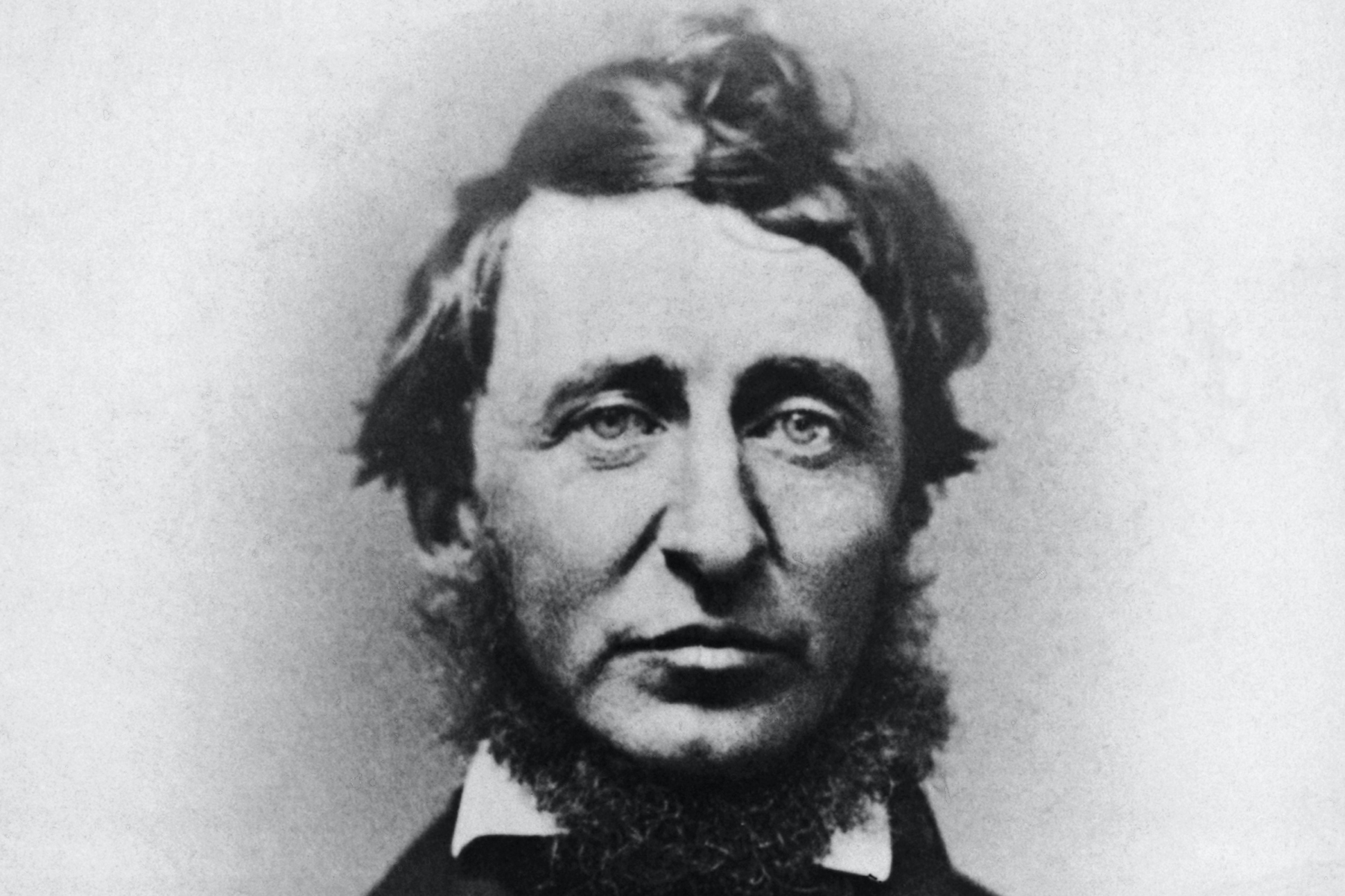 About Henry David Thoreau image