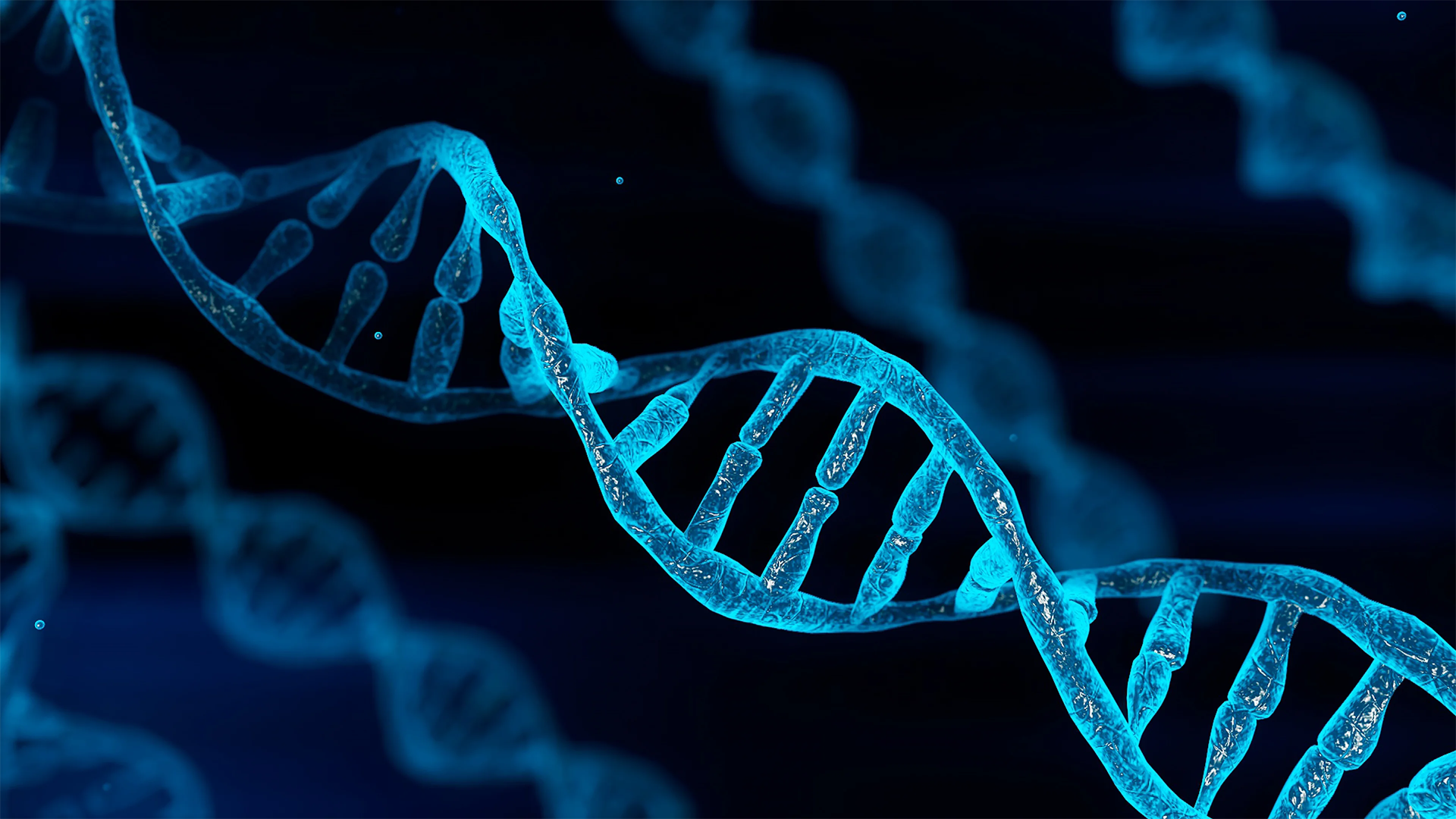 DNA: The Letters That Define Life