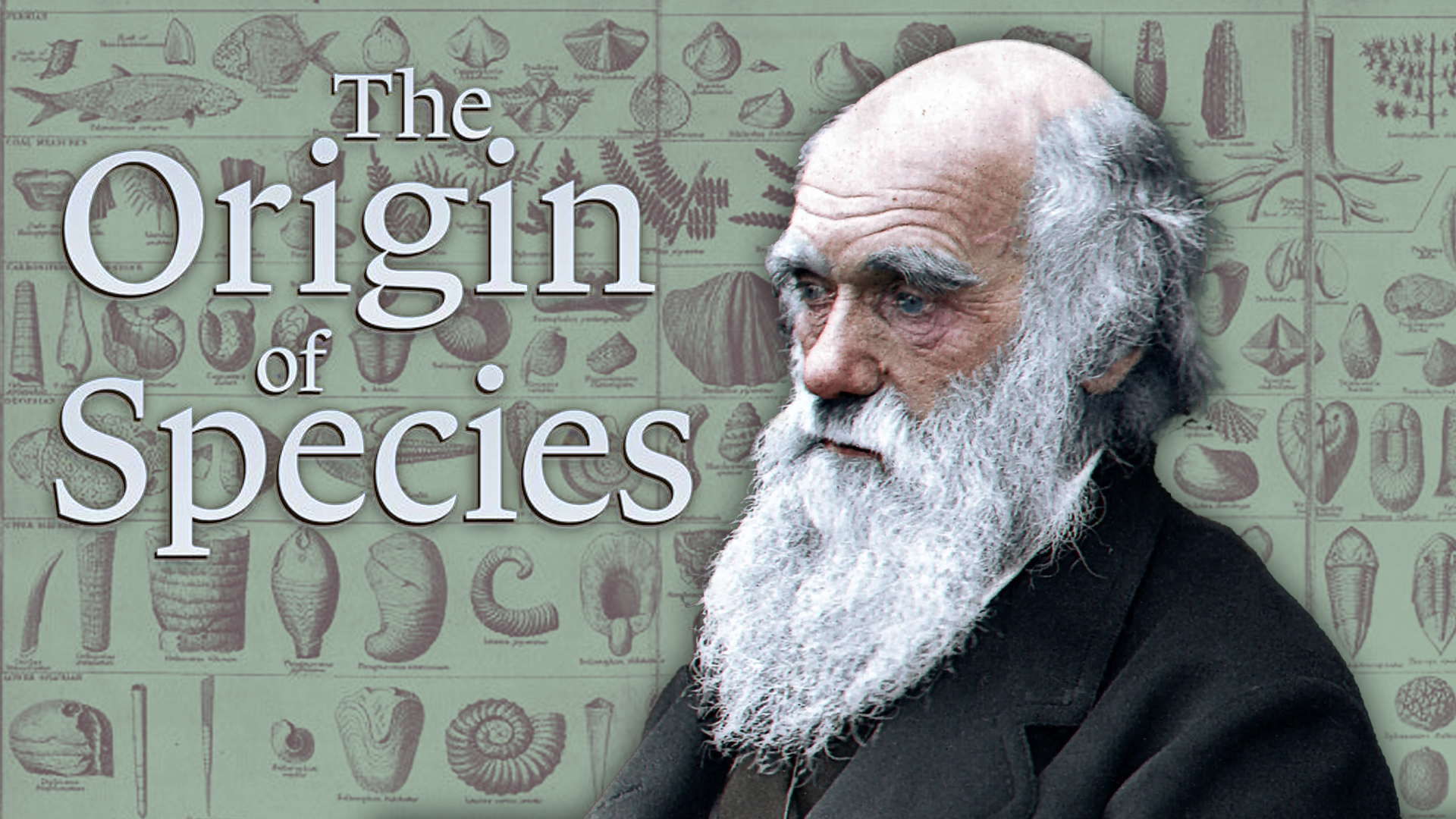 Charles Darwin's' book "On the Origin of Species" completely changed how people understood life on Earth