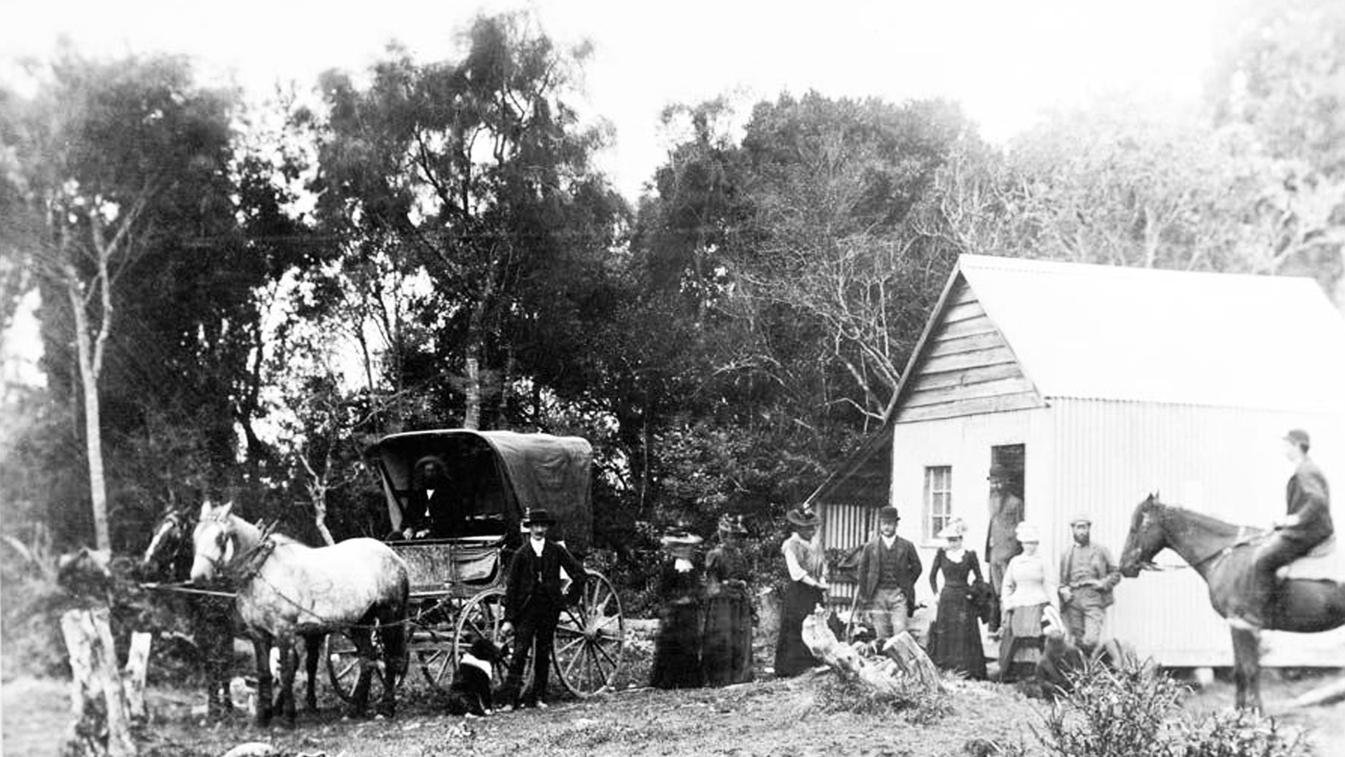 Illustration of New Zealand women proudly lining up to cast their ballots in the 1893 election