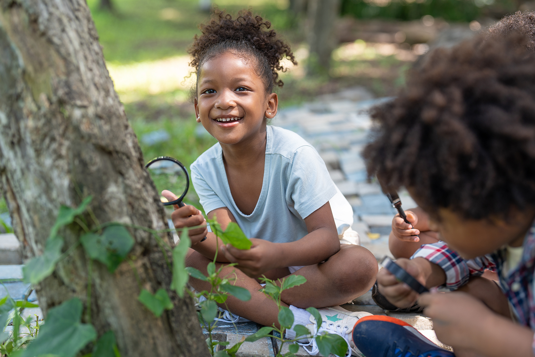 Scientific observation is the most basic and most powerful tool in the STEM toolbox.