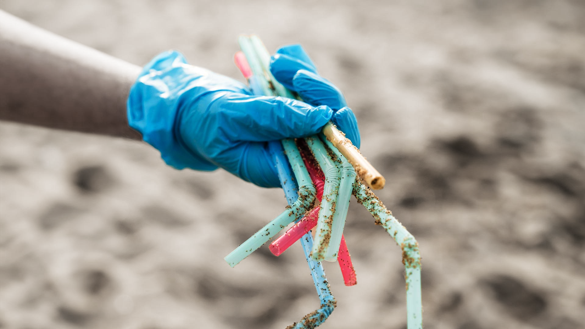 Plastic straws washed up on a beach representing ocean pollution