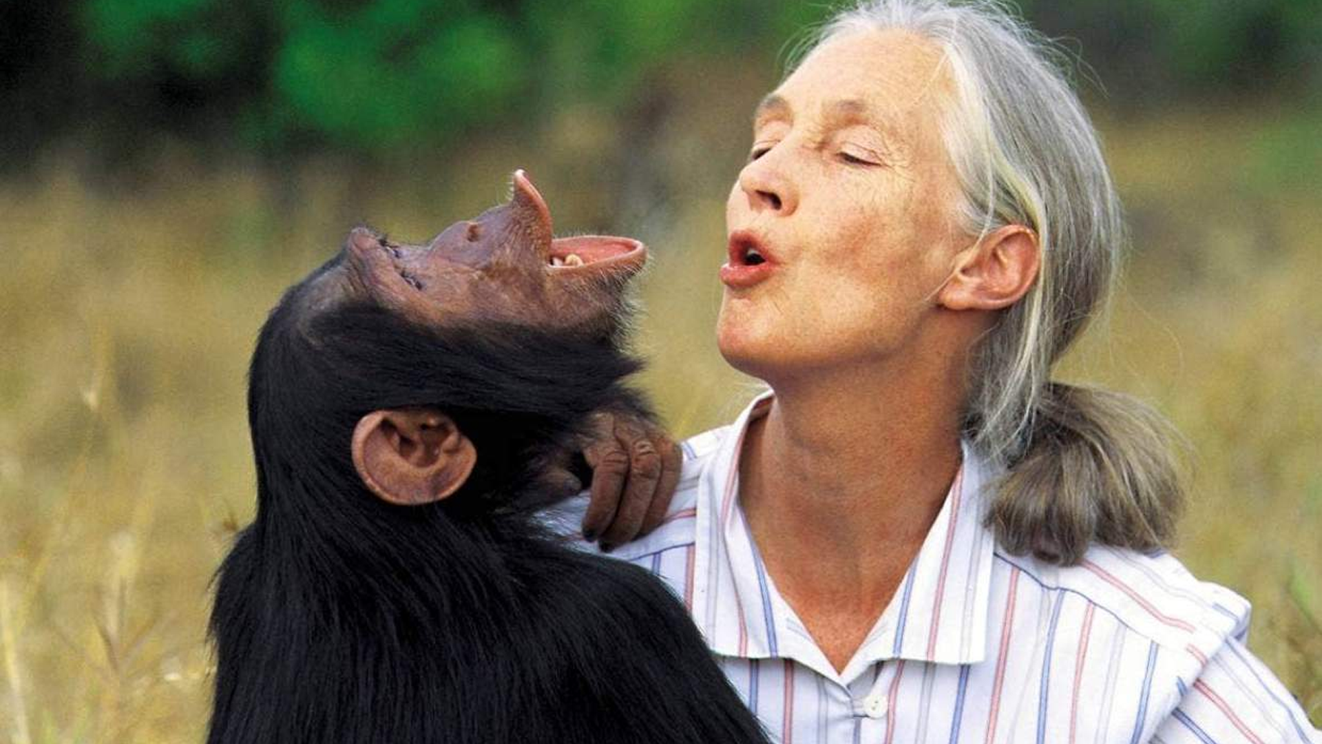Jane Goodall