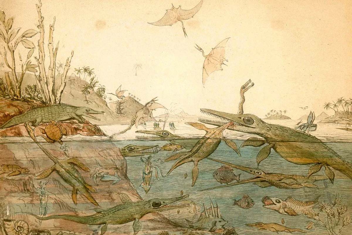 Mary Anning: The Unsung Hero of Fossil Discovery | Natural History Museum image