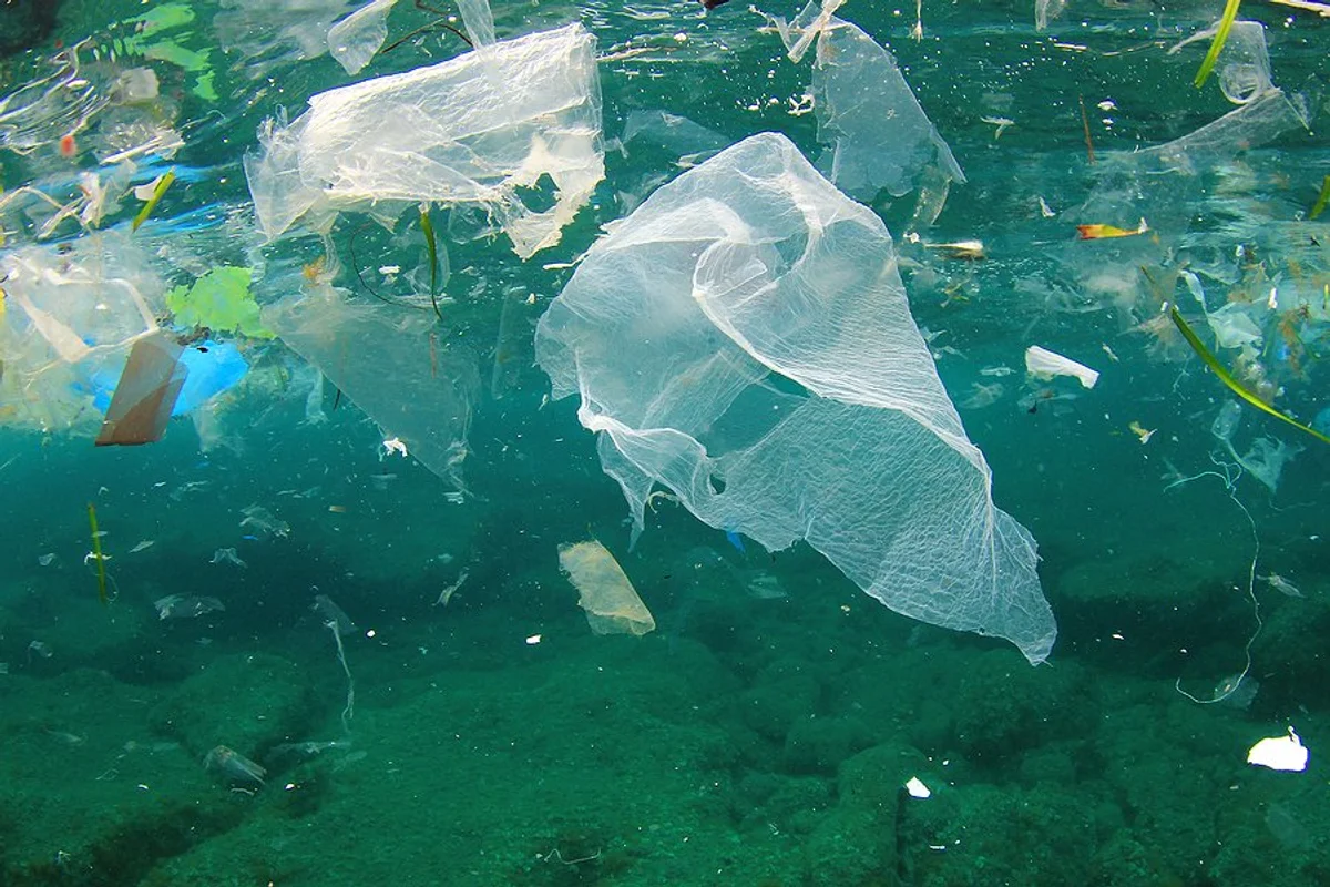 Oceans Contain More Plastic Than Previously Thought image