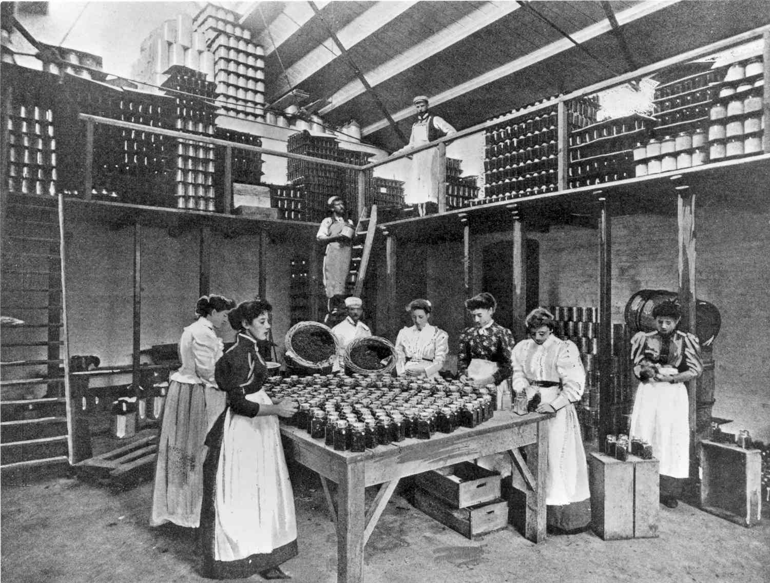Progressive Era to New Era, 1900-1929 image
