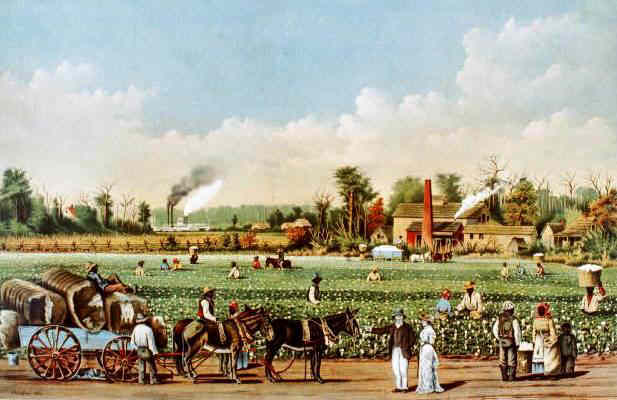 Introduction to Colonial North Carolina image