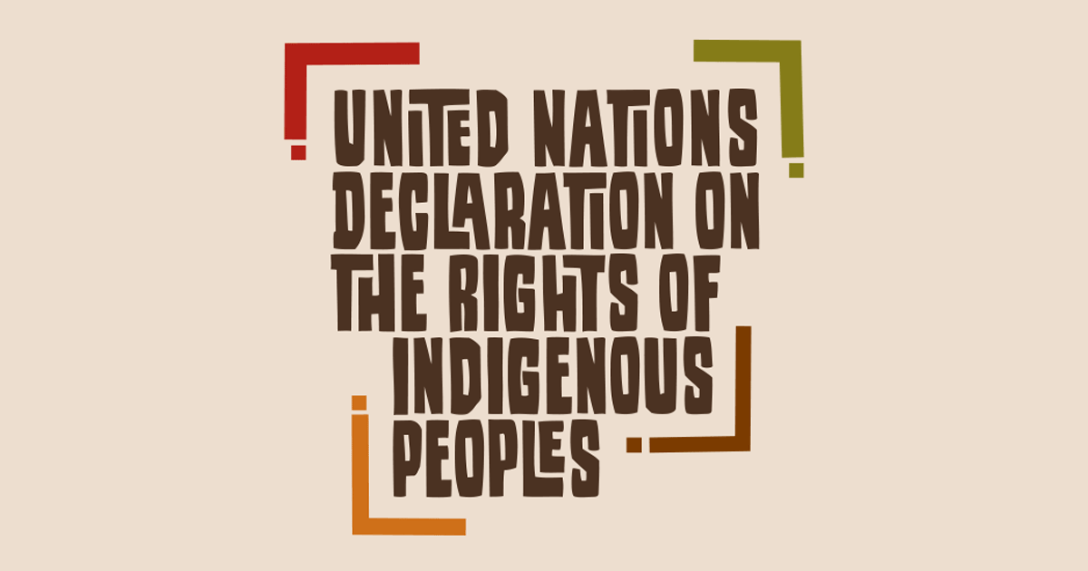 United Nations Declaration on the Rights of Indigenous Peoples image