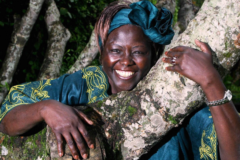 Wangari Maathai - Green Belt Movement image