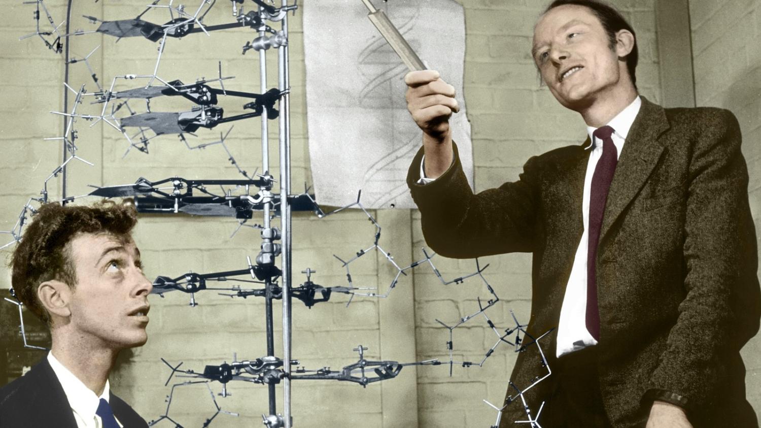 Watson and Crick’s announcement of DNA’s double-helix structure was one of the most significant breakthroughs in scientific history.