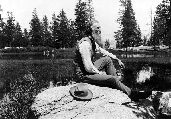 Yosemite | History & Culture image