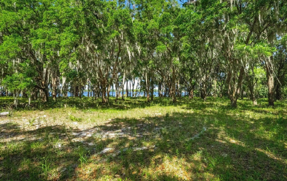 9 Florida Luxury Estates Showcasing Unparalleled Elegance and Exclusive Living