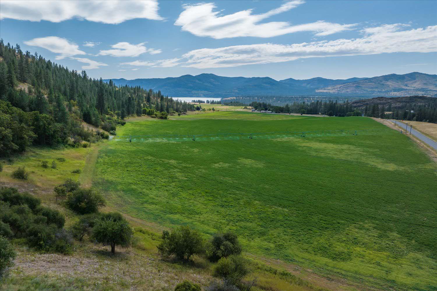 5 Washington Luxury Estates Blending Natural Beauty and Sophisticated Living