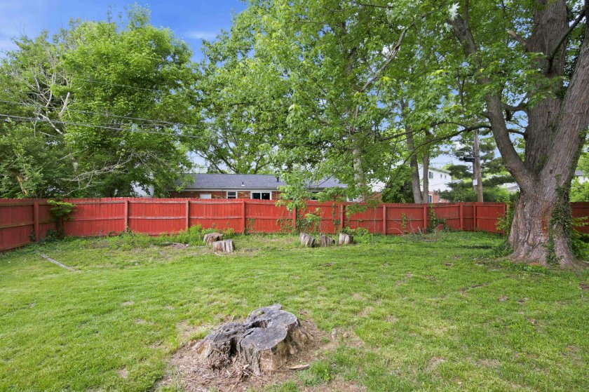 1665 Tonopah Dr