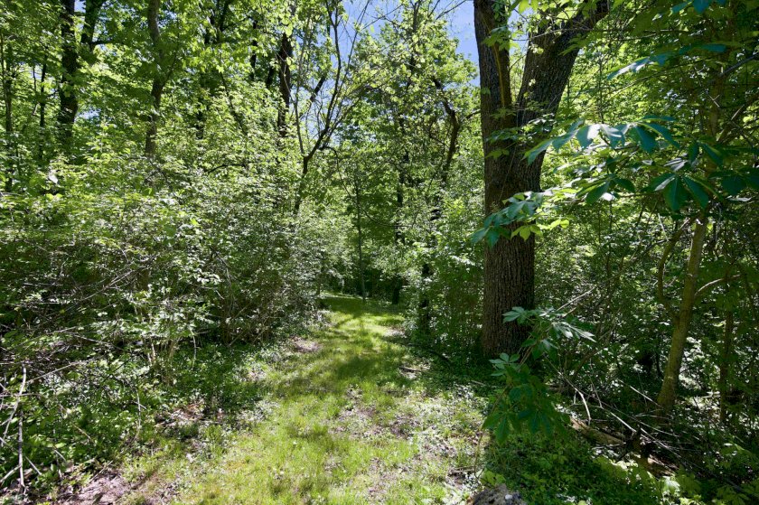 1200 Eversole Rd