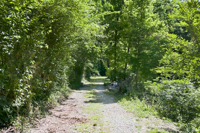 1200 Eversole Rd