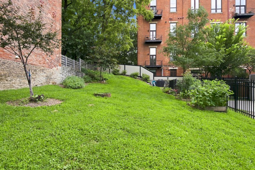 412 Liberty Hl Apt 1D