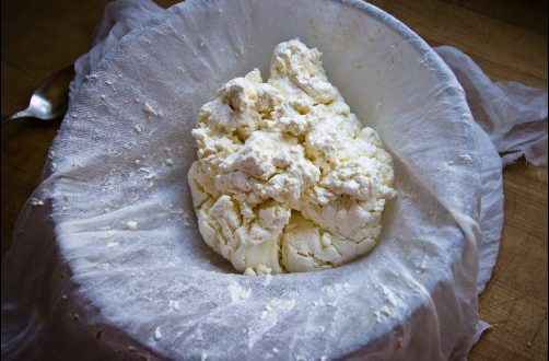 cheese from pasteurized milk