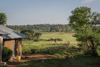 African-Homesteading-Life homestead living in Africa