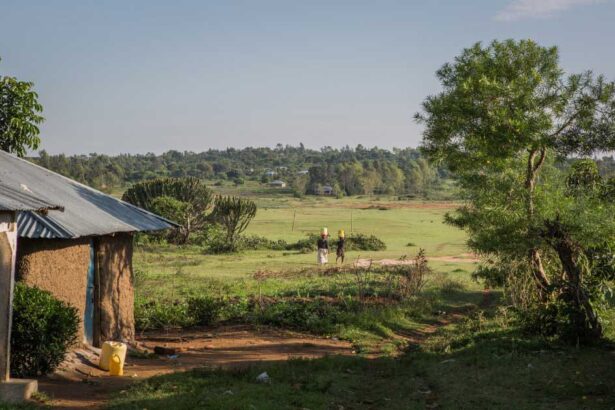 African-Homesteading-Life homestead living in Africa