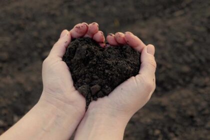Saving Your Soil