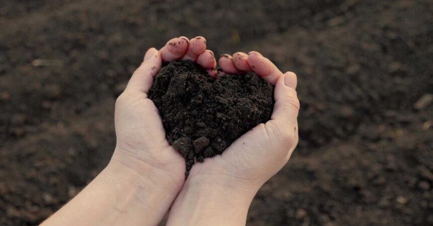 Saving Your Soil