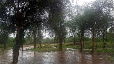 rain on an African homestead
