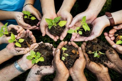 Starting a Homesteading Community