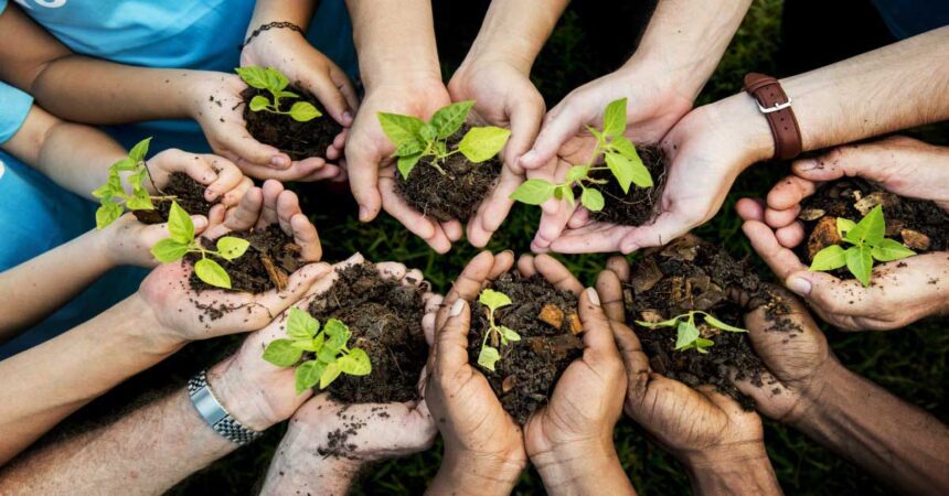 Starting a Homesteading Community