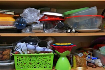 sometimes inspiration to homestead can be found in odd places