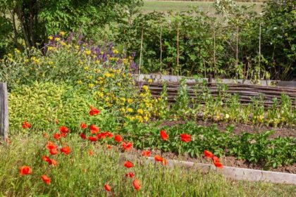 increase garden yield High-Yield-Garden