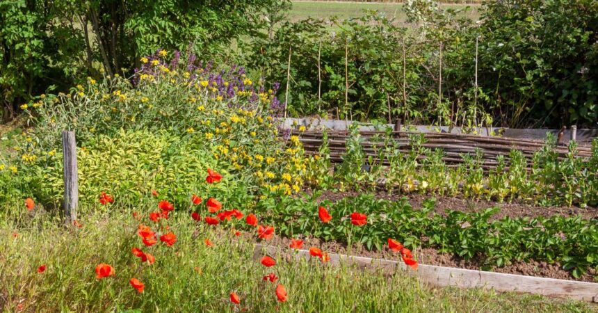 increase garden yield High-Yield-Garden