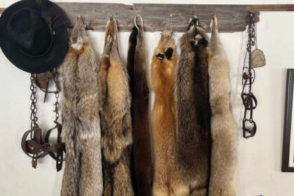 Tanning Hides Naturally From Home