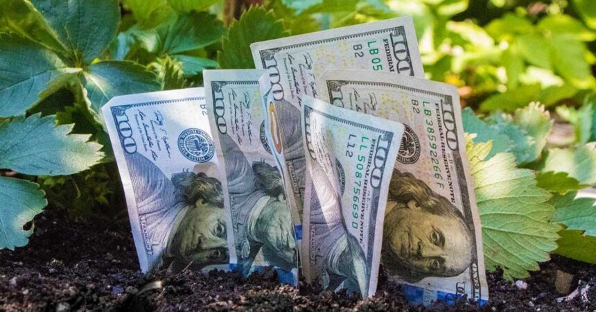 Grow Your Income Garden Business