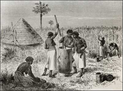 Old illustration of women crushing sorghum in Tanzania