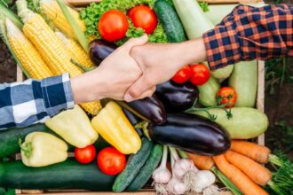 Recurring Revenue From Your Homestead