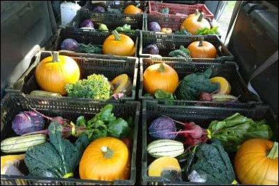 csa-farm share-subscription-boxes recurring homestead income