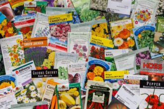 will my old seeds grow? test seed viability