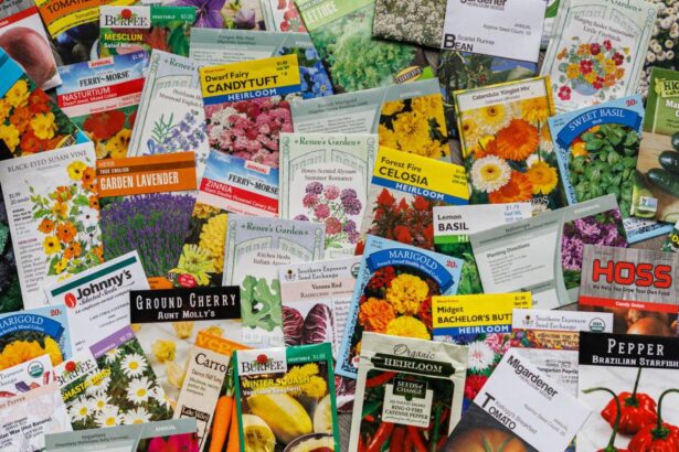 will my old seeds grow? test seed viability