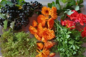 Freshly foraged berries, herbs, and flowers arranged on a tray for identification and herbal use.